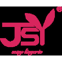 JSY (Китай)