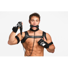 Набір BDSM цуценя Master Series Luxury Pup Arsenal Set - Black