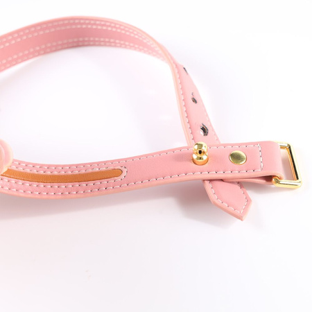 Поводок LOCKINK SEVANDA Love Heart Butterfly Leather Collar Set - Pink || Повідець LOCKINK SEVANDA Love Heart Butterfly Leather Collar Set - Pink