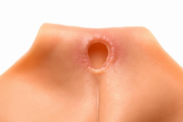 Накладная вагина Master Series Silicone Vagina + Butt Panties - Medium