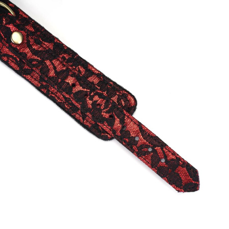 Ошейник с поводком Liebe Seele Victorian Garden Collar with Leash || Нашийник з повідцем Liebe Seele Victorian Garden Collar with Leash