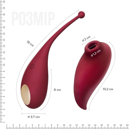 Смарт игрушка Adrien Lastic Inspiration: виброяйцо и вакуумный стимулятор с управлением со смартфона || Смарт іграшка Adrien Lastic Inspiration: віброяйце і вакуумний стимулятор з керуванням зі смартфону