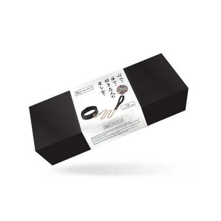 Ошейник с поводком Liebe Seele Black Organosilicon Collar with Leash || Нашийник з повідцем Liebe Seele Black Organosilicon Collar with Leash