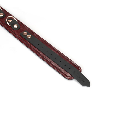 Кожаный ошейник с поводком Liebe Seele Wine Red Collar and Leash, 3 кольца для крепления || Шкіряний нашийник з повідцем Liebe Seele Wine Red Collar and Leash, 3 кільця для кріплення