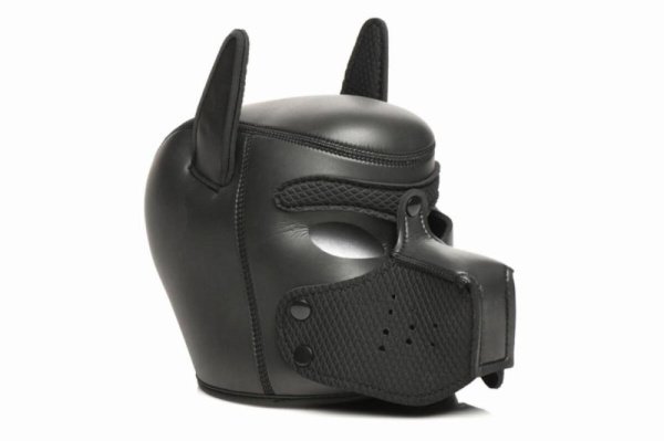 Набор BDSM щенка Master Series Luxury Pup Arsenal Set - Black